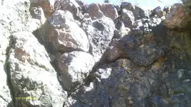IMAG0294 (2).webp