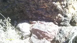 IMAG0296 (2).webp
