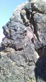 IMAG0295 (2).webp