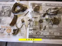 0228CRAPSM.webp