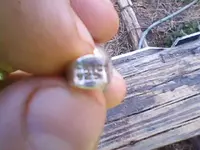 3-10-13b (1).webp