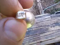 3-10-13b (2).webp