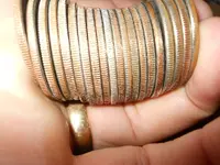 DSCN6218.webp