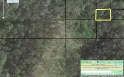 Check%20This.webp