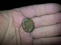 20130305_163659.webp