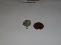 shank button.webp