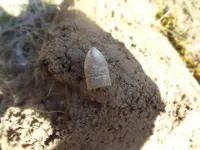 Metal Detecting 2013 163.webp