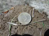 Metal Detecting 2013 164.webp