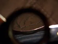 Large cent 012.webp