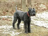 DSCN0200.webp