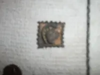 DSCF2466.webp