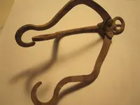 IMG_3239[1].webp