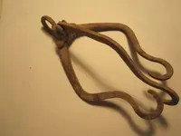 IMG_3240[1].webp