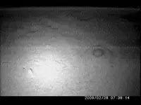 Snapshot 8 (1-21-2013 1-48 PM).webp