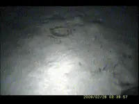 Snapshot 33 (1-21-2013 3-11 PM).webp