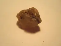 IMG_3242[1].webp