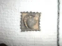 DSCF2465.webp