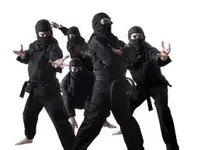 ninja.webp