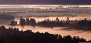 panorama 1-125 with copyright.webp