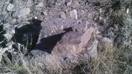 IMAG1133.webp
