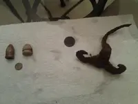 20130319_230606.webp