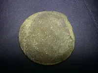 0222COIN1.webp