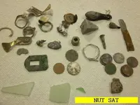 0223NUT.webp