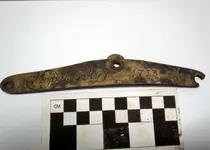 whydah_nameplate_031913.webp