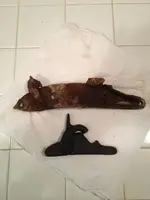 image-3342795127.webp