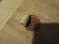 Metal Detecting 2013 161.webp