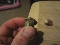 Metal Detecting 2013 162.webp