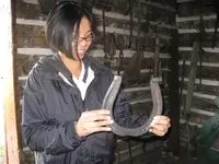 bar-u-draft-horse-shoe.webp bar-u-draft-horse-shoe.webp