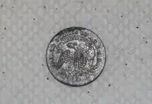 dime 3.webp