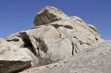 123182815.BZhTky7n.webp