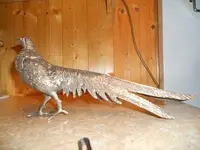 pheasant.webp