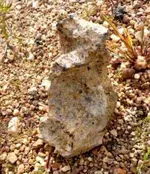 meteorite_Brazil1.webp
