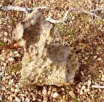 meteorite_Brazil2.webp