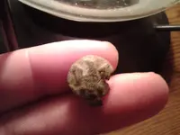 20130216_193010.webp