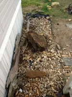 image-3139785073.webp