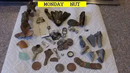 0325NUT.webp