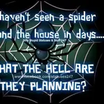 155992_588781117816393_133936550_n.webp