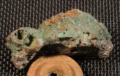 Copper 2.webp