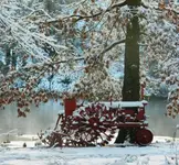 01 (1).webp