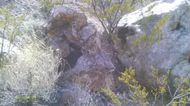 IMAG1092.webp