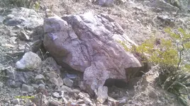 IMAG1093.webp