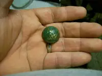 Virginia button HHUT 003.webp
