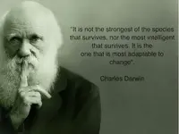 darwin.webp darwin.webp