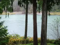 110110 010.webp
