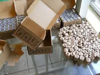 DSCN6157.webp