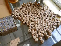 DSCN6159.webp